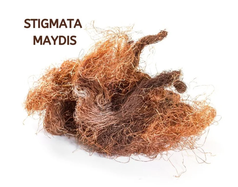 STIGMATA MAYDIS