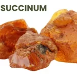 SUCCINUM