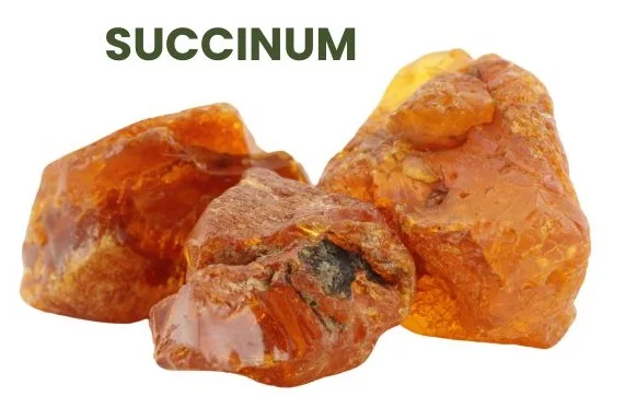 SUCCINUM