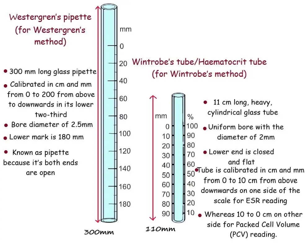 WINTROBE TUBE AND WESTERGRENS PIPETTE