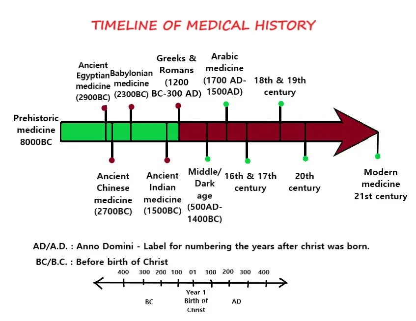 History Of Medicine A History Of The National Academy Of Medicine 50