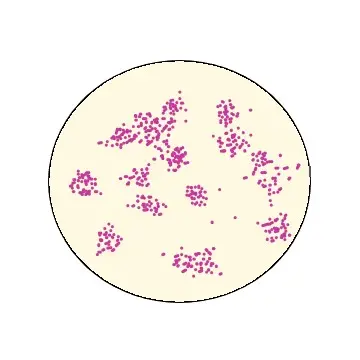 staphylococcus morphology