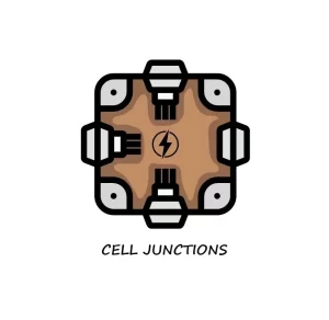 CELL JUNCTIONS