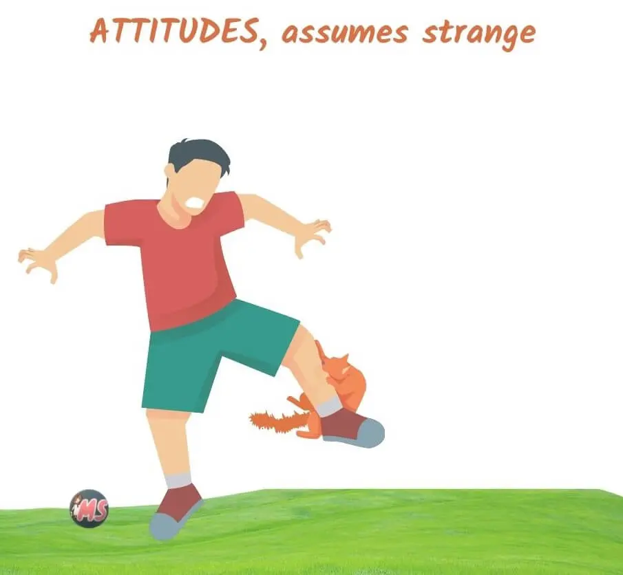 Attitudes-assumes-strange-mind rubrics interpretation from Kent's repertory