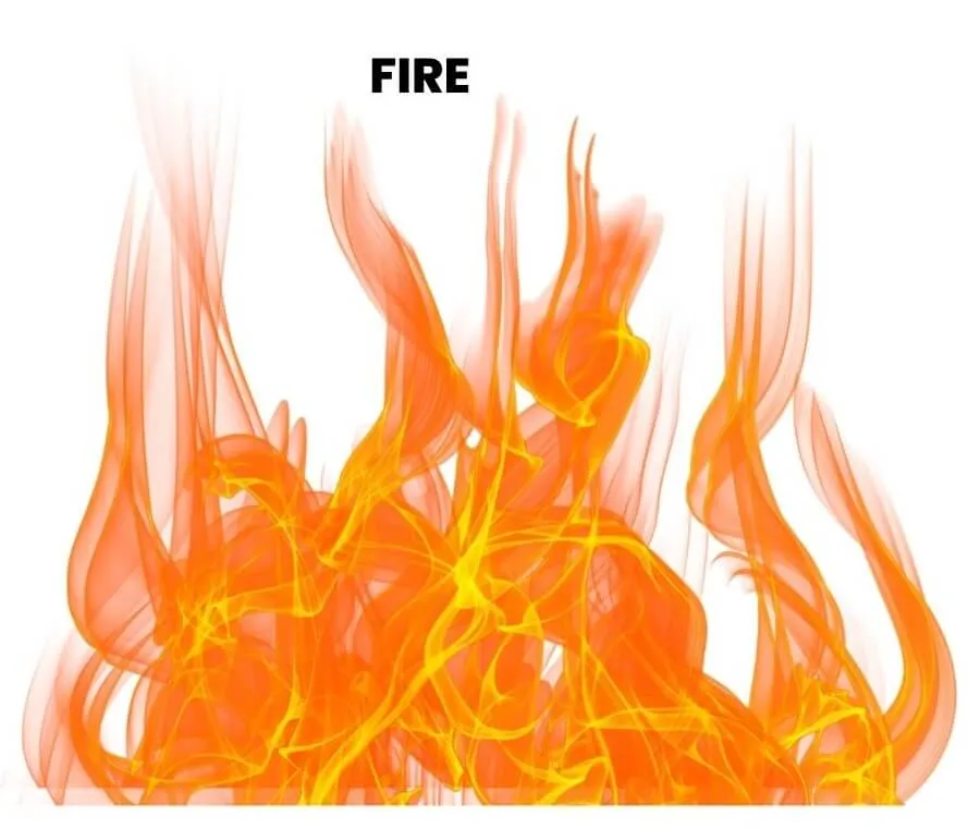 FIRE-F SERIES MIND RUBRICS FROM KENT'S REPERTORY