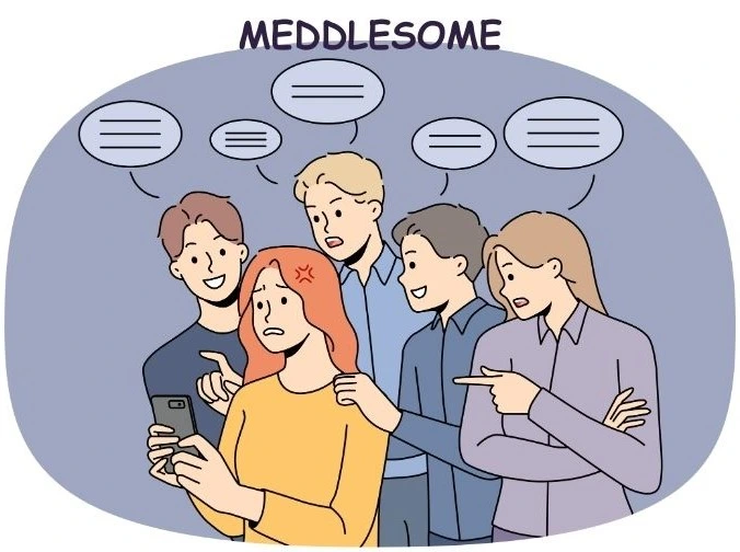 MEDDLESOME-M SERIES MIND RUBRICS FROM KENT'S REPERTORY INTERPRETATION