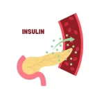 UNDERSTANDING INSULIN HORMONE: SYNTHESIS, FUNCTIONS, AND REGULATION