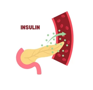 UNDERSTANDING INSULIN HORMONE: SYNTHESIS, FUNCTIONS, AND REGULATION
