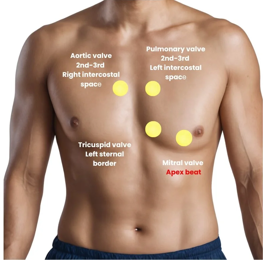 CLINICAL EXAMINATION OF RESPIRATORY SYSTEM-APEX BEAT LOCATION