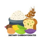DIETARY CARBOHYDRATES, TYPES, FUNCTIONS AND CLASSIFICATION