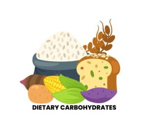 DIETARY CARBOHYDRATES, TYPES, FUNCTIONS AND CLASSIFICATION