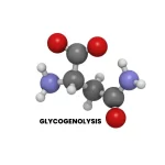 GLYCOGENOLYSIS