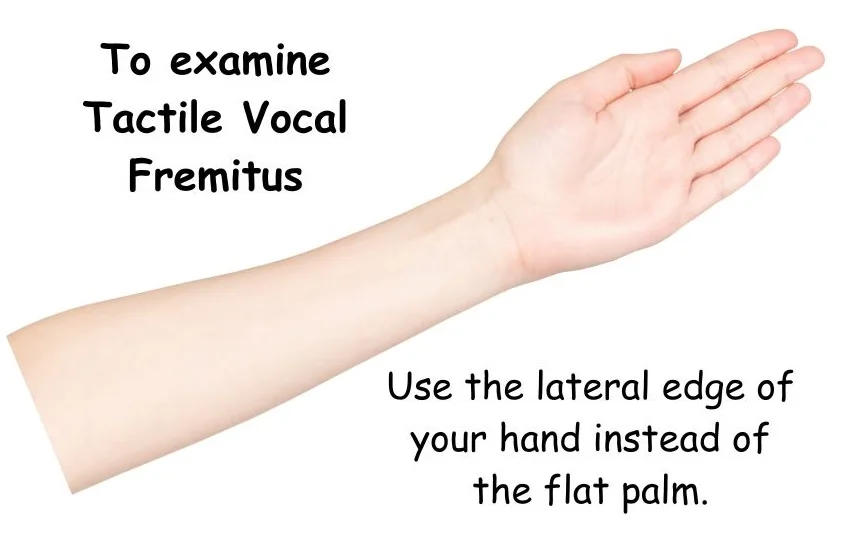 CLINICAL EXAMINATION OF RESPIRATORY SYSTEM-VOCAL FREMITUS EXAMINATION