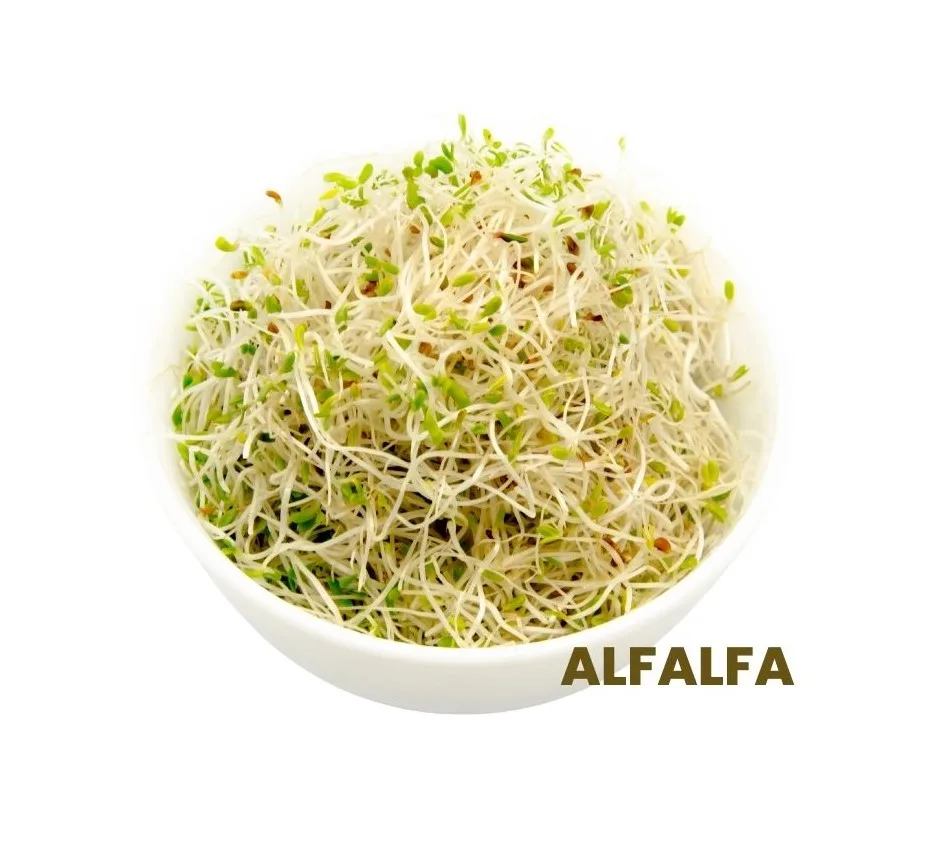 ALFALFA