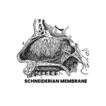 SCHNEIDERIAN MEMBRANE