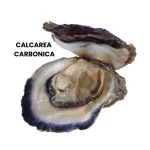 CALCAREA CARBONICA