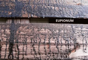 EUPIONUM