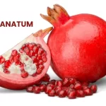 GRANATUM