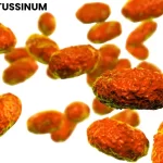 PERTUSSINUM