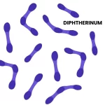 DIPHTHERINUM