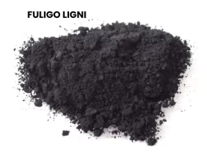 FULIGO LIGNI