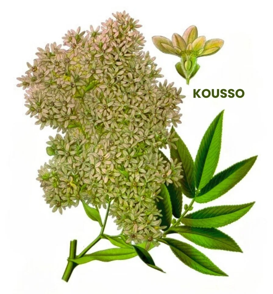 KOUSSO