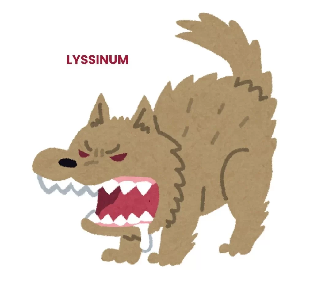 LYSSINUM