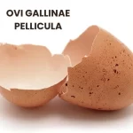 OVI GALLINAE PELLICULA