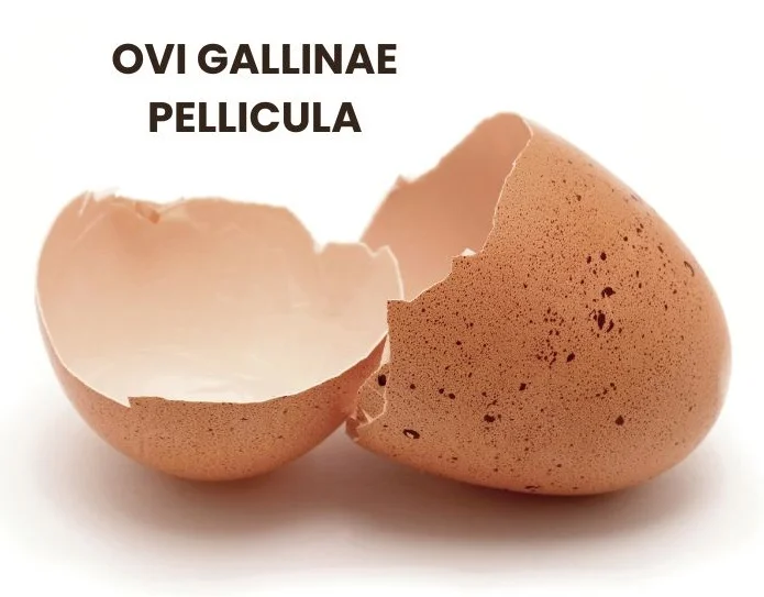 OVI GALLINAE PELLICULA