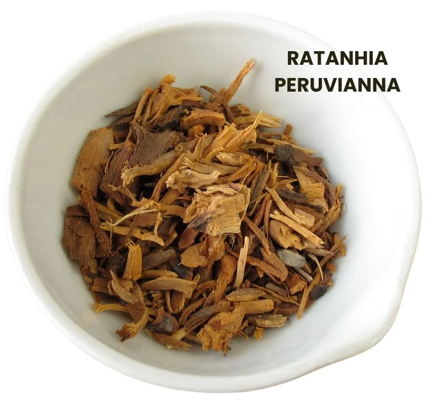 RATANHIA PERUVIANNA