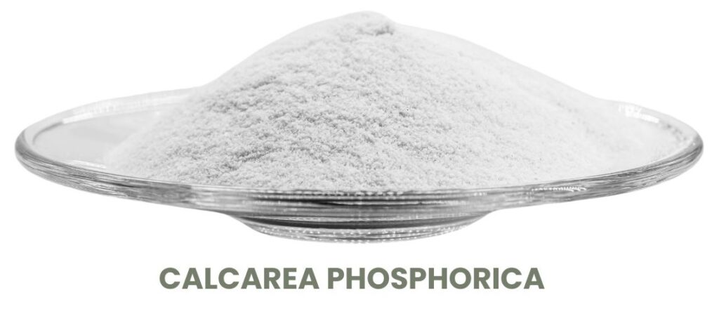 CALCAREA PHOSPHORICA