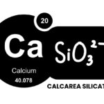 CALCAREA SILICATA