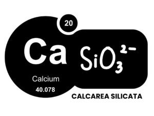 CALCAREA SILICATA