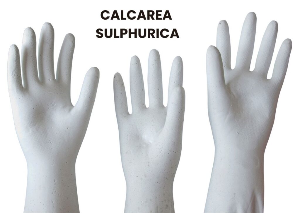 CALCAREA SULPHURICA