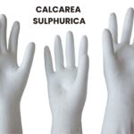 CALCAREA SULPHURICA