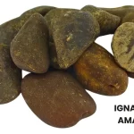 IGNATIA AMARA