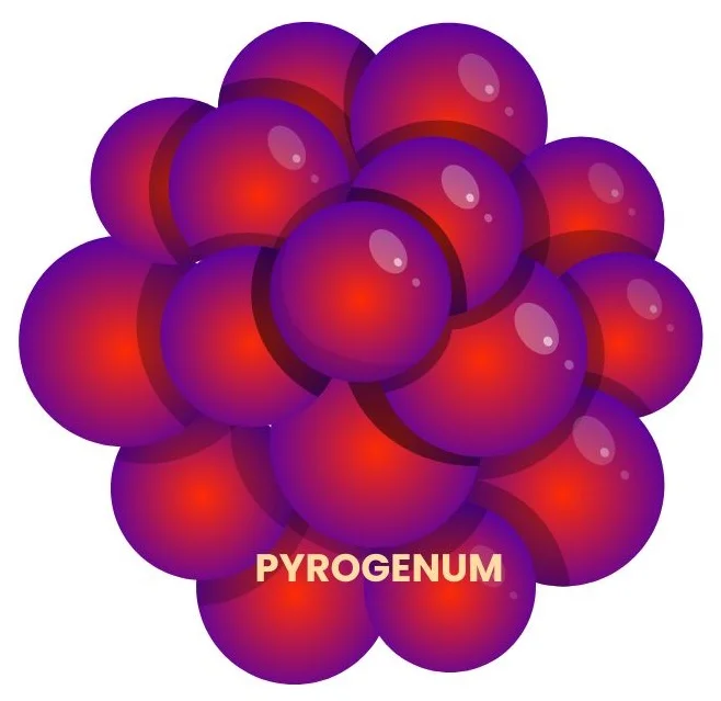 PYROGENUM