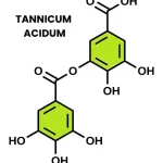 TANNICUM ACIDUM