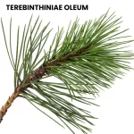 TEREBINTHININE OLEUM