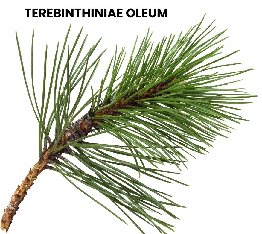 TEREBINTHININE OLEUM