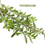 THYMOLUM