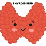 THYROIDINUM