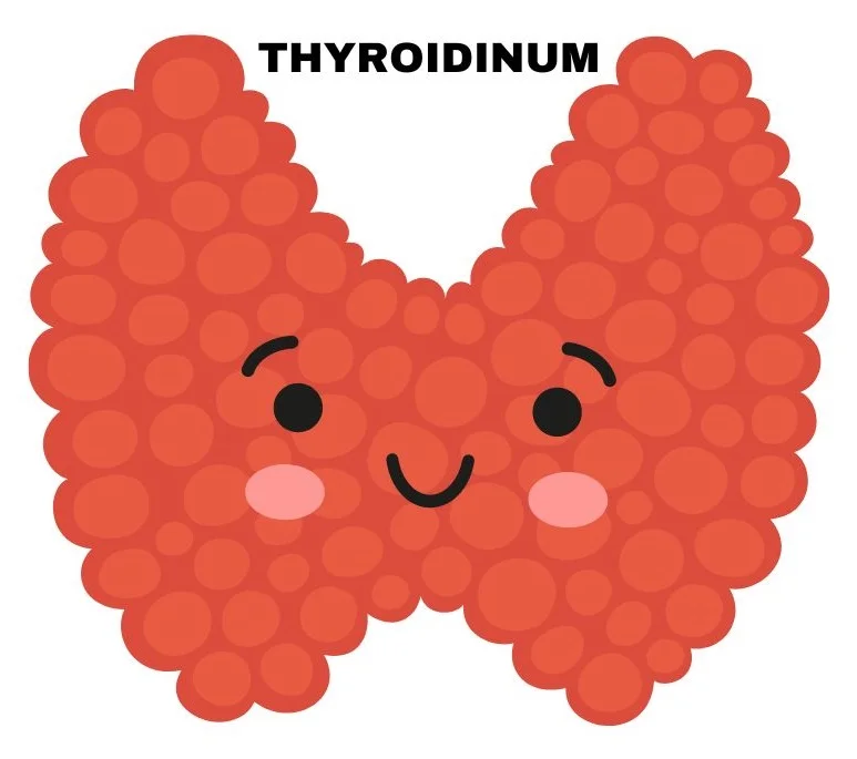 THYROIDINUM