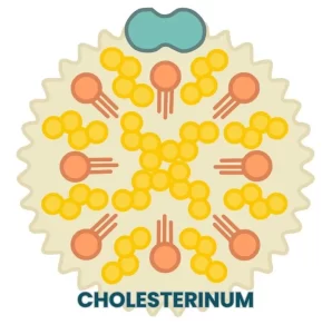 CHOLESTERINUM