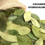 COCAINUM HYDROCHLORICUM