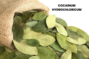 COCAINUM HYDROCHLORICUM