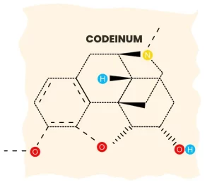 CODEINUM