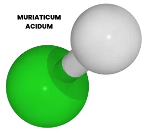 MURIATICUM ACIDUM