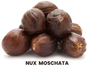 NUX MOSCHATA