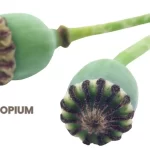 OPIUM